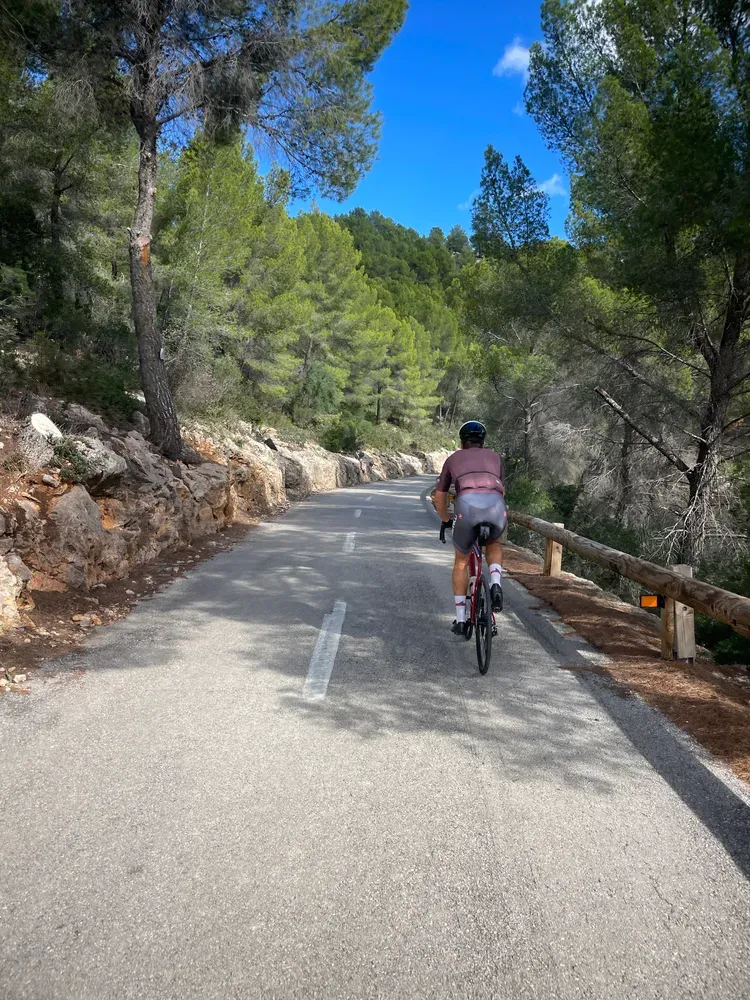 Forest ascent from Es Capdellà towards Galilea on Paguera inland climbs cycling loop